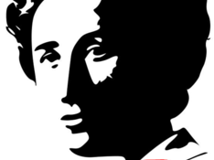 Rosa-Kopie.png